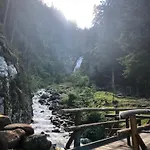 Goldene Zehn דירה Dollach